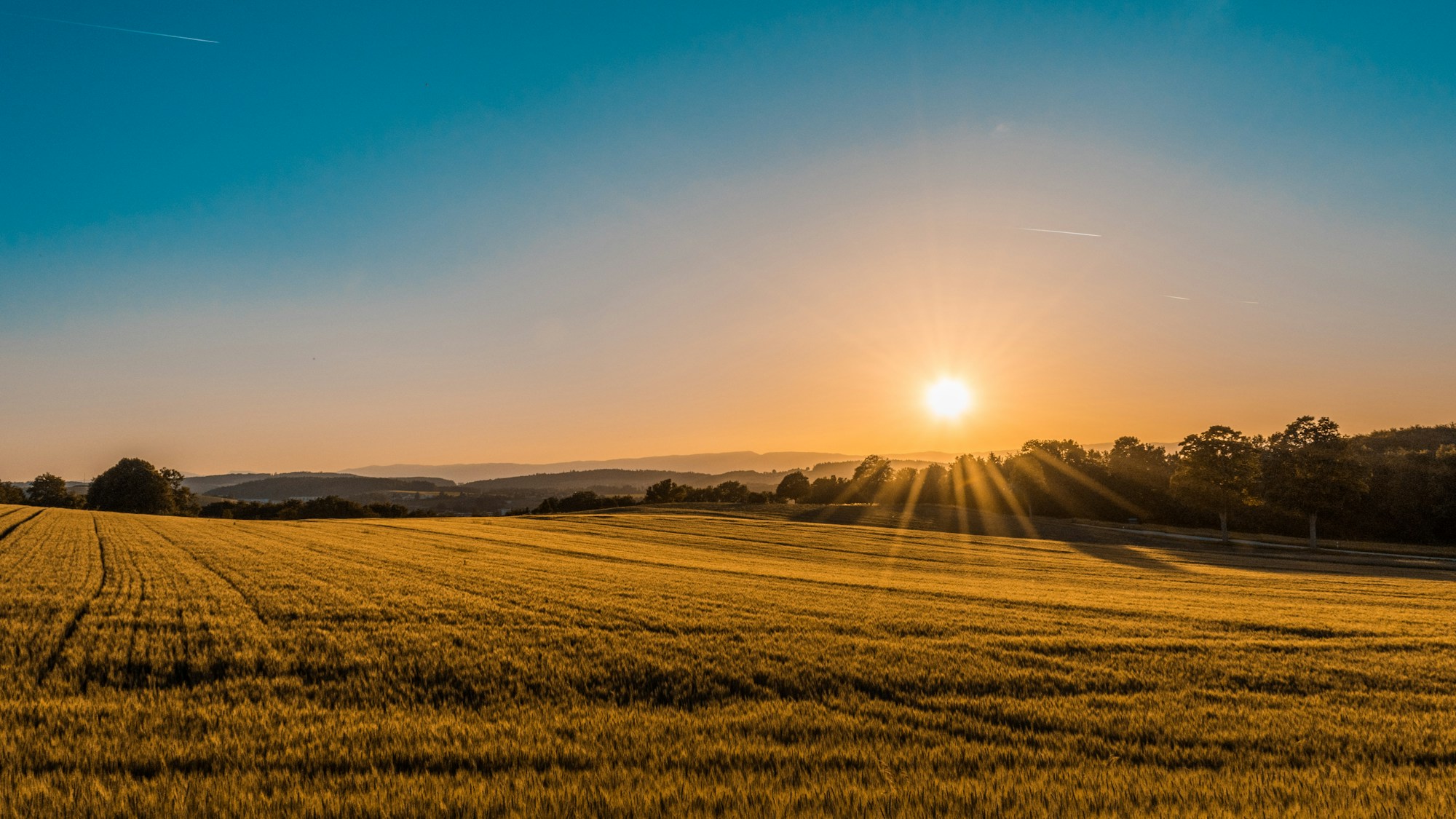 Cultivos y parcelas agrícolas al atardecer
